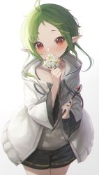 Rule 34 | 1girl, absurdres, black shorts, blush, collarbone, commentary, covering own mouth, cowboy shot, flower, green hair, highres, holding, holding flower, looking at viewer, lunia, mushoku tensei, pointy ears, red eyes, shorts, simple background, solo, sylphiette (mushoku tensei), wand, white background, wide sleeves