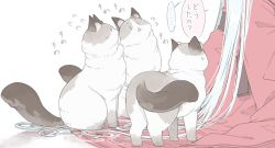 Rule 34 | 1girl, animal, cat, long hair, out of frame, sakuraba yuuki, shinki (touhou), simple background, touhou, touhou (pc-98), translation request, white background, white hair, | |