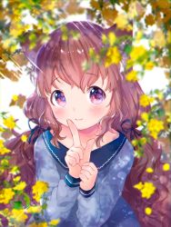 Rule 34 | 1girl, animal ears, blue shirt, blush, brown hair, commentary request, flower, hair ribbon, highres, index finger raised, long hair, looking at viewer, mutou mato, original, own hands together, purple eyes, ribbon, shirt, smile, solo, twintails, upper body, wavy hair