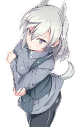 Rule 34 | 1girl, animal ears, aurora e. juutilainen, blush, breasts, hi-ho-, long hair, medium breasts, military, military uniform, pantyhose, purple eyes, silver hair, solo, standing, strike witches, strike witches: aurora no majo, tail, uniform, world witches series