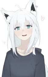 Rule 34 | 1girl, ahoge, animal ear fluff, animal ears, aqua eyes, black shirt, blush, braid, breasts, collarbone, commentary request, fox ears, fox girl, full-face blush, hair between eyes, head tilt, heart, heart-shaped pupils, highres, hololive, kujira pasta, long hair, looking at viewer, low ponytail, open mouth, ponytail, shirakami fubuki, shirt, side braid, sidelocks, silver hair, simple background, single braid, small breasts, smile, solo, sweat, symbol-shaped pupils, t-shirt, teeth, upper teeth only, virtual youtuber, wavy mouth, white background