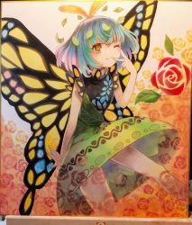 Rule 34 | 1girl, antennae, aqua hair, butterfly wings, closed mouth, dress, eternity larva, fairy, green dress, hair between eyes, highres, insect wings, leaf, leaf on head, multicolored clothes, multicolored dress, one eye closed, orange eyes, photo (medium), proton, shikishi, short hair, short sleeves, single strap, smile, solo, touhou, wings