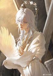 1boy ancient_greek_clothes becoming_a_god_in_the_zerg_world_by_livestreaming_bl_novels bird daisy flower gold_choker greco-roman_clothes grey_hair hair_between_eyes highres long_hair long_sleeves looking_at_viewer male_focus shi_cunjin solo weibo_7407886904 white_bird white_hair