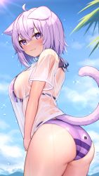 Rule 34 | 1girl, :3, absurdres, animal ear fluff, animal ears, ass, bikini, bikini under clothes, blue sky, blush, breasts, cat ears, cat girl, cat tail, closed mouth, cloud, cowboy shot, day, deaver, from side, halterneck, highres, hololive, large breasts, looking at viewer, looking to the side, nekomata okayu, no pants, onigiri print, outdoors, purple bikini, purple eyes, purple hair, see-through, see-through shirt, shirt, short hair, sideboob, sky, solo, strap gap, string bikini, striped bikini, striped clothes, sunlight, swimsuit, t-shirt, tail, thighs, virtual youtuber, water drop, wet, wet clothes, wet shirt