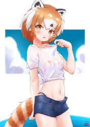 Rule 34 | 1girl, animal ears, arm behind back, bare arms, black hair, blue shorts, blush, breasts, clothes pull, collar tug, collarbone, colored inner hair, covered erect nipples, cowboy shot, hair between eyes, hand up, head tilt, highres, hot, kemono friends, lesser panda (kemono friends), looking at viewer, medium hair, midriff, multicolored hair, navel, nipples, no bra, orange hair, parted bangs, parted lips, perky breasts, petite, piki (zuru-pikio), pulling own clothes, red panda ears, red panda girl, red panda tail, see-through, see-through shirt, shirt, short shorts, short sleeves, shorts, sky, small breasts, solo, stomach, sweat, tail, tied shirt, wet, wet clothes, wet shirt, white hair, white shirt, yellow eyes