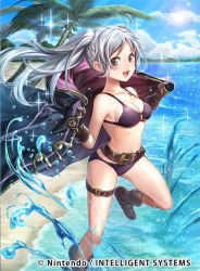 Rule 34 | 1girl, beach, belt, bikini, boots, breasts, brown eyes, brown footwear, chachie, cleavage, cloud, cloudy sky, collarbone, commentary request, company connection, copyright name, day, fire emblem, fire emblem awakening, fire emblem cipher, gloves, jewelry, leg up, light particles, long hair, looking at viewer, medium breasts, navel, necklace, nintendo, o-ring, o-ring bikini, o-ring top, ocean, outdoors, palm leaf, palm tree, purple bikini, robin (female) (fire emblem), robin (fire emblem), silver hair, sky, smile, solo, sunlight, swimsuit, thigh strap, tree, twintails, water