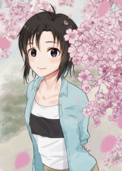 Rule 34 | 1girl, antenna hair, arms behind back, beige pants, black eyes, black hair, blue shirt, blue sky, blush, breasts, cherry blossoms, cloud, collarbone, grass, highres, idolmaster, idolmaster (classic), idolmaster 2, kikuchi makoto, looking at viewer, mogskg, open clothes, open shirt, outdoors, petals, shirt, short hair, short sleeves, sky, small breasts, smile, solo, striped clothes, striped shirt, upper body