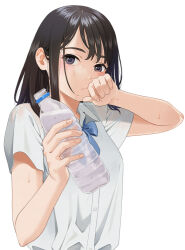 Rule 34 | 1girl, blue bow, blue bowtie, bottle, bow, bowtie, breasts, brown hair, closed mouth, commentary request, eyelashes, grey eyes, hand to own mouth, hands up, holding, looking at viewer, mattaku mousuke, medium hair, original, parted bangs, plastic bottle, school uniform, shirt, short sleeves, sidelocks, simple background, small breasts, solo, sweatdrop, upper body, water bottle, wet, wet clothes, wet shirt, white background, white shirt