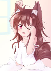Rule 34 | 1girl, animal ear fluff, animal ears, brown hair, camisole, chinoru, fang, highres, imaizumi kagerou, long hair, one eye closed, open mouth, red eyes, simple background, sleepy, strap slip, tail, touhou, waking up, wolf ears, wolf tail, yawning