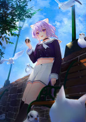Rule 34 | 1girl, absurdres, almn sk, animal ear fluff, animal ears, bench, bird, black choker, black shirt, black socks, blue sky, blush, breasts, brick wall, cat, cat ears, cat tail, choker, cloud, cloudy sky, commentary, cowboy shot, day, food, hair between eyes, highres, holding, holding food, hololive, kneehighs, lamppost, light purple hair, long sleeves, looking at viewer, medium breasts, midriff, navel, nekomata okayu, nekomata okayu (casual), onigiri, open mouth, outdoors, pigeon, purple eyes, sailor collar, shirt, short hair, short shorts, shorts, sky, smile, socks, solo, symbol-only commentary, tail, tree, virtual youtuber, whiskers, white neckwear, white shorts