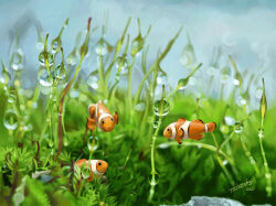 Rule 34 | animal focus, blurry, blurry background, clownfish, dated, depth of field, fish, floating, grass, highres, leaf, no humans, original, signature, tainosuke, tropical fish, water drop