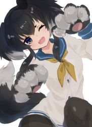 Rule 34 | 1girl, :d, animal ears, animal hands, bad id, bad pixiv id, black pantyhose, blue eyes, blue sailor collar, commentary request, dog ears, head tilt, kantai collection, kemonomimi mode, knee up, looking at viewer, neckerchief, one eye closed, open mouth, pantyhose, pokoten (pokoten718), sailor collar, school uniform, serafuku, shirt, simple background, smile, solo, tail, thighband pantyhose, tokitsukaze (kancolle), white background, white shirt, yellow neckerchief