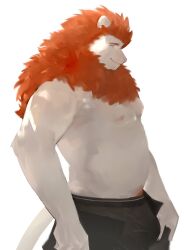 Rule 34 | 1boy, animal ears, ass, bara, beard, belly, black male underwear, bulge, bulge lift, dressing, facial hair, feet out of frame, from side, furry, furry male, highres, i&#039;ve never seen a guy recreate this successfully tbh (meme), lion boy, lion ears, lion tail, long hair, male focus, male underwear, meme, muscular, muscular male, nipples, noir., open pants, orange hair, original, pants, pants lift, pectorals, smile, solo, stomach, tail, topless male, undersized clothes, underwear