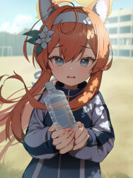 Rule 34 | 1girl, absurdres, animal ear fluff, animal ears, bananafish1111, blue archive, blue eyes, blue sky, blurry, blurry background, bottle, cloud, commentary, flower, gym uniform, hair between eyes, hair flower, hair ornament, hairband, halo, headband, highres, holding, holding bottle, jacket, long hair, looking at viewer, mari (blue archive), mari (track) (blue archive), multicolored clothes, multicolored jacket, official alternate costume, open mouth, orange hair, outdoors, plastic bottle, ribbon, sky, solo, track jacket, two-tone jacket, upper body, water bottle, white flower, white hairband, white headband, white ribbon, yellow halo