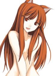 Rule 34 | 00s, animal ears, holo, nude, ribi, solo, spice and wolf, wolf ears