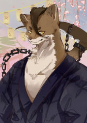 Rule 34 | 1boy, animal ears, ao gravity, chain, cherry blossoms, claws, commentary request, fangs, furry, furry male, genshin impact, highres, japanese clothes, kamai kenji, kimono, lantern, looking at viewer, male focus, paper lantern, upper body, weasel boy, weasel ears, yukata