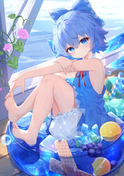 Rule 34 | 1girl, absurdres, barefoot, bloomers, blue bow, blue dress, blue eyes, blue hair, blush, bow, breasts, cirno, closed mouth, detached wings, dress, fairy, flower, food, fruit, grapes, hair between eyes, hair bow, highres, ice, ice cube, ice wings, kuroida, looking at viewer, morning glory, orange (fruit), pink flower, short hair, small breasts, soles, solo, toes, touhou, underwear, white bloomers, wings