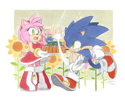 Rule 34 | 1boy, 1girl, amy rose, boots, cake, dated, dress, finik, flower, food, furry, furry female, furry male, gloves, green eyes, highres, holding, holding cake, holding food, open mouth, red dress, shoes, signature, sonic (series), sonic the hedgehog, teeth, white gloves