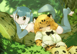 Rule 34 | 10s, 2girls, animal ears, bad id, bad pixiv id, bow, bowtie, commentary request, closed eyes, fingerless gloves, fur collar, gloves, jaguar (kemono friends), jaguar ears, jaguar print, jungle, kemono friends, multiple girls, nature, one-piece swimsuit, otter ears, otter tail, rousetsu, sleeping, small-clawed otter (kemono friends), swimsuit, tail, toeless legwear