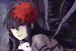 Rule 34 | 10s, 1girl, :d, akemi homura, akuma homura, bare shoulders, black dress, black gloves, black hair, choker, dress, elbow gloves, fang, feathered wings, flower, gloves, grin, hair flower, hair ornament, head rest, highres, kyubey, long hair, looking at another, looking at viewer, mahou shoujo madoka magica, mahou shoujo madoka magica: hangyaku no monogatari, open mouth, purple eyes, smile, spider lily, spoilers, vermeith, wings