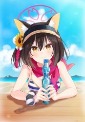 Rule 34 | 1girl, animal ears, beach, black hair, blue archive, blush, breasts, collarbone, commentary request, fox ears, hair ornament, halo, highres, izuna (blue archive), izuna (swimsuit) (blue archive), kyokutsuki, looking at viewer, medium breasts, portrait, ramune, sand, scarf, sky, smile, solo, swimsuit, visor cap, yellow eyes