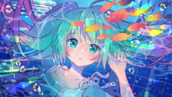 Rule 34 | 1girl, air bubble, aqua hair, blue background, blue eyes, bubble, hand up, hatsune miku, kawanobe, long hair, looking at viewer, school of fish, solo, tropical fish, underwater, upper body, vocaloid