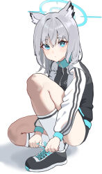 Rule 34 | 1girl, absurdres, animal ears, ass, black footwear, black jacket, blue archive, blue eyes, blue halo, blush, closed mouth, full body, grey hair, gubbi on, hair between eyes, halo, highres, jacket, korean commentary, long sleeves, looking at viewer, medium hair, mismatched pupils, shiroko (blue archive), shoes, simple background, socks, solo, track jacket, white background, white socks, wolf ears