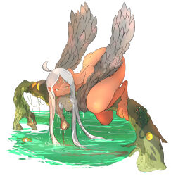 Rule 34 | absurdres, ahoge, animal, ass, bird legs, biting, blood, claws, completely nude, facial mark, fantasy, feathered wings, feathers, fish, food in mouth, frog, grey feathers, harpy, highres, hinekure-boy, hunting, log, long hair, monster girl, mouth hold, nude, original, talons, tan, thick thighs, thighs, very long hair, water, white hair, wings, yellow eyes