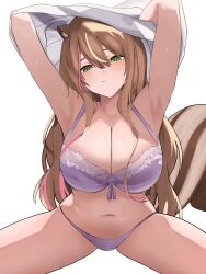 Rule 34 | 1girl, absurdres, alternate breast size, animal ears, armpits, arms up, ayunda risu, blush, bow, bow bra, bra, breasts, brown hair, green eyes, hair between eyes, highres, hololive, hololive indonesia, large breasts, long hair, looking at viewer, multicolored hair, navel, panties, pink hair, shirt, si farid, simple background, solo, spread legs, squirrel ears, squirrel girl, squirrel tail, streaked hair, tail, underwear, undressing, very long hair, virtual youtuber, white background, white bra, white hair, white panties, white shirt
