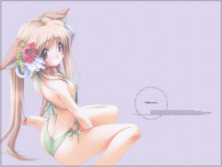 Rule 34 | 00s, 1girl, :o, animal ears, ass, back, barefoot, between thighs, blonde hair, blush, border, breasts, brown eyes, butt crack, casual one-piece swimsuit, collar, covered erect nipples, dog ears, earrings, embarrassed, feet, flower, frown, hair flower, hair ornament, halterneck, inuzuka alice, jewelry, leaf, legs, long hair, looking back, milkyway, milkyway 2, o-ring, o-ring swimsuit, official art, official wallpaper, one-piece swimsuit, ribbon, senomoto hisashi, sideboob, simple background, sitting, slingshot swimsuit, small breasts, soles, solo, swimsuit, thighs, toes, twintails, very long hair, wallpaper, wariza