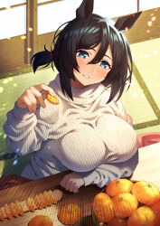Rule 34 | 1girl, absurdres, alternate hairstyle, animal ears, architecture, black hair, blue eyes, blush, breasts, commentary, east asian architecture, eishin flash (umamusume), fingernails, food, fruit, hair between eyes, highres, horse ears, huge breasts, indoors, kotatsu, large breasts, long sleeves, looking at viewer, mandarin orange, messy hair, neokinayo, parted lips, ribbed sweater, short hair, short ponytail, smile, solo, sweater, swept bangs, table, taut clothes, taut sweater, turtleneck, turtleneck sweater, umamusume, white sweater