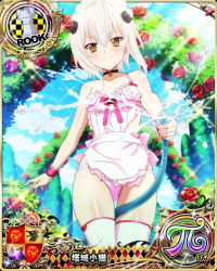 Rule 34 | 1girl, apron, card (medium), cat hair ornament, character name, chess piece, choker, hair ornament, high school dxd, high school dxd hero, high school dxd pi, looking at viewer, maid, maid apron, maid headdress, neck bell, official art, panties, pink panties, rook (chess), short hair, silver hair, solo, source request, thighhighs, torn clothes, toujou koneko, trading card, underwear, water, white thighhighs, yellow eyes