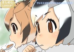 Rule 34 | 10s, 2girls, :o, blush stickers, brown eyes, character name, clenched hand, commentary request, curry, eating, eurasian eagle owl (kemono friends), expressionless, eyebrows, eyelashes, food, from side, fur collar, fur trim, holding, holding spoon, kemono friends, light brown hair, looking afar, multicolored hair, multiple girls, northern white-faced owl (kemono friends), open mouth, outdoors, portrait, profile, satsuyo, short hair, sidelocks, spoon, tareme, trembling, utensil in mouth, white hair