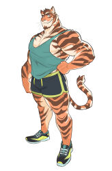 Rule 34 | 1boy, animal ears, asher (saltypoundcake), bara, black shorts, clenched hand, dolphin shorts, eyebrow piercing, facial hair, fang, fang out, full body, furry, furry male, goatee, green tank top, hand on own hip, highres, large pectorals, looking at viewer, looking to the side, male focus, mature male, midriff peek, muscular, muscular male, orange fur, original, pectoral cleavage, pectorals, piercing, saltypoundcake, shoes, short hair, short shorts, shorts, sidepec, smile, sneakers, solo, standing, streaked beard, tank top, thick eyebrows, tiger boy, tiger ears, two-tone fur, whiskers, white background