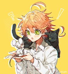 Rule 34 | !, 1girl, 2boys, :o, ?, ahoge, animal, animal ears, animal on shoulder, artist name, black hair, blouse, blush, cat, cat ears, cat on shoulder, cat tail, emma (yakusoku no neverland), green eyes, holding, holding animal, long sleeves, looking at another, mouse (animal), mouse ears, mouse tail, multiple boys, neck tattoo, norman (yakusoku no neverland), number tattoo, open mouth, orange hair, ray (yakusoku no neverland), sapphire (nine), seiza, shirt, short hair, simple background, sitting, surprised, tail, tattoo, white shirt, yakusoku no neverland, yellow background