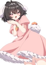 Rule 34 | 1girl, :3, :d, absurdres, animal ears, black hair, blush, bright pupils, carrot, carrot necklace, dress, fang, food, fruit, highres, inaba tewi, jewelry, looking at viewer, mandarin orange, necklace, open mouth, own hands together, petticoat, pink dress, rabbit ears, rabbit tail, red eyes, short hair, simple background, skin fang, smile, solo, tail, touhou, tsukimirin, white background, white pupils
