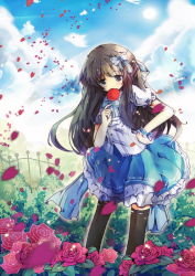 Rule 34 | 1girl, bad id, bad pixiv id, blue eyes, blurry, bondson, bow, brown hair, candy, day, depth of field, eating, female focus, flower, food, hair bow, hair ornament, hand on own hip, hip focus, long hair, nature, original, outdoors, petals, plant, rose, skirt, sky, solo, thighhighs