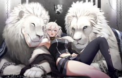 Rule 34 | 1girl, ahoge, animal, arm up, armpits, bare arms, bare shoulders, black nails, black pantyhose, black shirt, breasts, chain, crop top, fangs, fed (giba), grey eyes, grey skirt, highleg, highres, hololive, knee up, large breasts, lion, long hair, looking at viewer, midriff, miniskirt, nail polish, open mouth, pantyhose, reclining, shirt, shishiro botan, shishiro botan (1st costume), silver hair, single leg pantyhose, skirt, sleeveless, sleeveless shirt, solo, thighs, torn clothes, torn pantyhose, v-shaped eyebrows, virtual youtuber