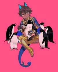 Rule 34 | 1boy, animal, animal ears, arjuna (fate), arjuna alter (fate), barefoot, bird, blue cape, blush, brown eyes, brown hair, cape, dark-skinned male, dark skin, fate/grand order, fate (series), highres, holding, holding animal, holding bird, indian clothes, male focus, oneroom-disco, open mouth, penguin, pink background, short hair, simple background, sitting, tail, toenails