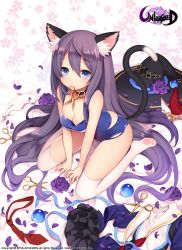 Rule 34 | 1girl, animal ears, arm support, blue eyes, breasts, byulzzi, cat ears, cat tail, choker, cleavage, flower, hat, long hair, looking at viewer, mouth hold, necktie, original, paw print, petals, purple hair, ribbon, rose, school swimsuit, school uniform, scissors, sitting, solo, swimsuit, tail, thighhighs, torn clothes, torn swimsuit, unleashed, unworn clothes, unworn hat, unworn headwear, very long hair, wariza, white thighhighs, witch hat