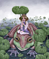 Rule 34 | 1girl, female focus, frog, hat, kosagi rie, leaf, moriya suwako, nature, outdoors, plant, rain, riding, skirt, solo, thighhighs, touhou, water