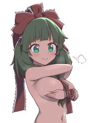 Rule 34 | 1girl, blush, bow, breasts, cachemerro, closed mouth, frilled bow, frilled ribbon, frills, front ponytail, green eyes, green hair, hair bow, hair ribbon, kagiyama hina, large breasts, long hair, looking at viewer, navel, puff of air, red bow, red ribbon, ribbon, simple background, smile, solo, touhou, upper body, white background