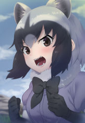 Rule 34 | 10s, 1girl, animal ears, black bow, black bowtie, black hair, blue sky, bow, bowtie, brown eyes, cloud, common raccoon (kemono friends), day, extra ears, fangs, fur collar, gloves, grey hair, hair between eyes, kemono friends, looking at viewer, multicolored hair, nyifu, open mouth, outdoors, puffy short sleeves, puffy sleeves, purple shirt, raccoon ears, shirt, short sleeves, sky, solo, teeth, upper body, v-shaped eyebrows, white hair