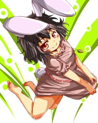 Rule 34 | 1girl, animal ears, bad id, bad pixiv id, barefoot, black hair, rabbit ears, rabbit tail, carrot, feet, female focus, inaba tewi, jewelry, necklace, red eyes, rihhi, short hair, solo, tail, touhou