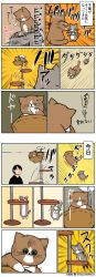 Rule 34 | alfred (kounoike tsuyoshi), animal focus, artist self-insert, cat, cat tower, comic, emphasis lines, highres, kounoike tsuyoshi, original, ponta (kounoike tsuyoshi), simple background, surprised, translation request, twitter username