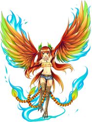 Rule 34 | 1girl, artist request, bare shoulders, belt, bird, bird legs, blue eyes, blush, denim, denim shorts, feathered wings, feathers, fi (monster musume), frilled shirt, frills, full body, harpy, jewelry, long hair, monster girl, monster musume no iru nichijou, monster musume no iru nichijou online, multicolored wings, multiple tails, necklace, official art, open mouth, orange hair, phoenix, rainbow order, shirt, shorts, solo, strapless, tail, talons, transparent background, tube top, twintails, winged arms, wings
