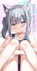 Rule 34 | 1girl, animal ear fluff, animal ears, black one-piece swimsuit, blue archive, blue eyes, blue halo, bright pupils, commentary request, cross hair ornament, fujima takuya, hair ornament, halo, looking at viewer, medium hair, mismatched pupils, official alternate costume, one-piece swimsuit, shiroko (blue archive), shiroko (swimsuit) (blue archive), solo, swimsuit, translation request, white pupils