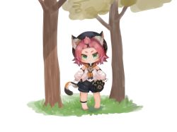 Rule 34 | 1girl, :3, animal ear fluff, animal ears, bangs pinned back, barefoot, beret, black hat, black shorts, blouse, blush, cat ears, cat girl, cat tail, chibi, closed mouth, commentary request, detached sleeves, diona (genshin impact), dokomon, genshin impact, gloves, grass, green eyes, hat, highres, korean commentary, long sleeves, looking at viewer, pink hair, puffy long sleeves, puffy shorts, puffy sleeves, shirt, short eyebrows, short shorts, shorts, simple background, sleeveless, sleeveless shirt, sleeves past wrists, solo, standing, tail, thick eyebrows, tree, white background, white gloves, white shirt, white sleeves