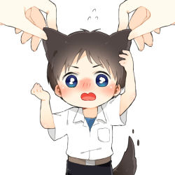 Rule 34 | 1boy, animal ears, blue eyes, blush, brown hair, chibi, dog boy, dog ears, dog tail, grabbing another&#039;s ear, hand on another&#039;s ear, ikari shinji, male focus, mini person, miniboy, neon genesis evangelion, simple background, solo focus, tail, white background