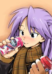 Rule 34 | 00s, 1girl, bad id, bad pixiv id, blue eyes, blush, dokuda, drink, drinking straw, hiiragi kagami, lucky star, purple hair, scarf, smile, solo, tsurime, twintails, winter clothes